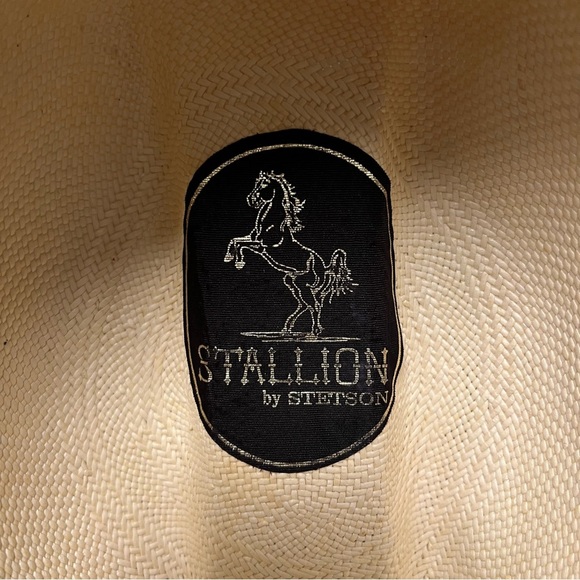 Stallion by STETSON straw cowboy hat, tan, hard shell - Picture 4 of 14